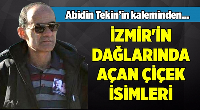 Abidin Tekin&#039;in kaleminden...