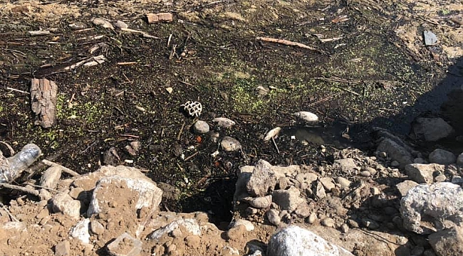 Bakırçay Deresi&#039;nde kirlilik, ekoloji ve tarıma darbe vuruyor!