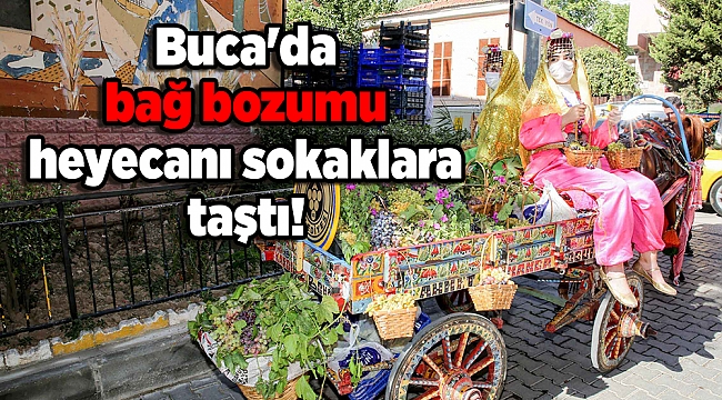 Buca'da bağ bozumu heyecanı sokaklara taştı!