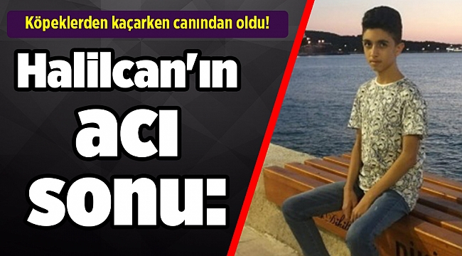 Halilcan'ın acı sonu: Köpeklerden kaçarken canından oldu!