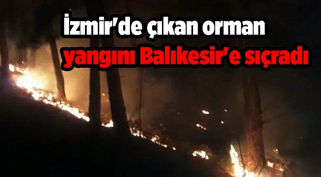 İzmir'de çıkan orman yangını Balıkesir'e sıçradı