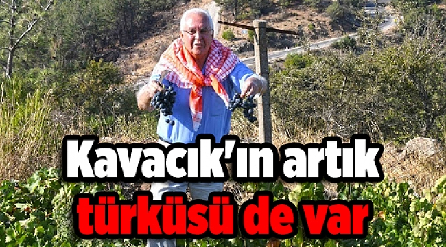 Kavacık'ın artık türküsü de var