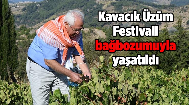 Kavacık Üzüm Festivali bağbozumuyla yaşatıldı