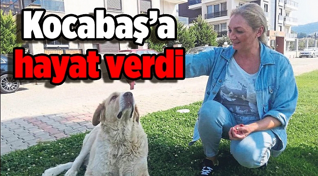Kocabaş'a hayat verdi