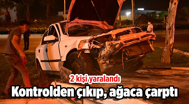 Kontrolden çıktı, ağaca çarptı: 2 yaralı