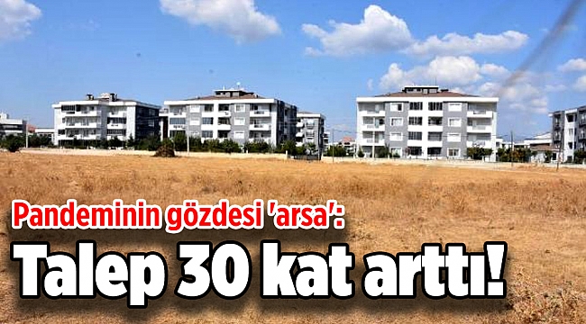 Pandeminin gözdesi 'arsa': Talep 30 kat arttı!