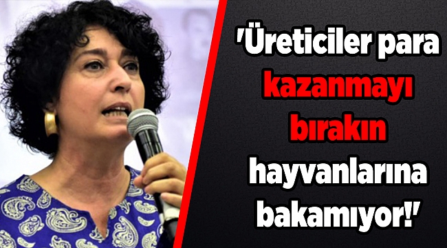 Soyer'den tepki: 'Üreticiler para kazanmayı bırakın hayvanlarına bakamıyor!'