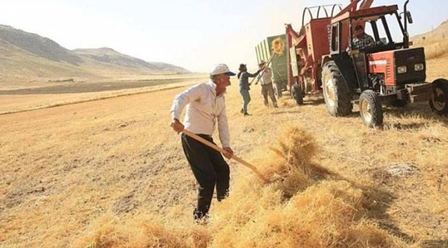 Dolar 8 lirayı aştı, çiftçiler zorda