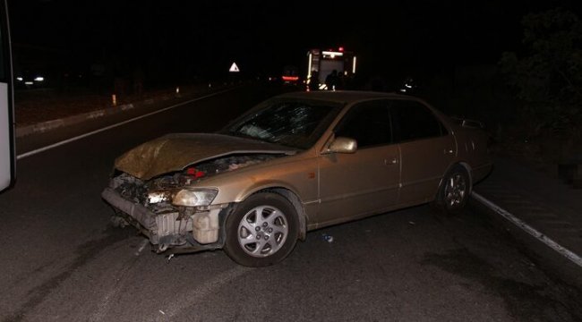 İki otomobil koyun sürüsüne daldı: 7 yaralı, 15 koyun telef oldu