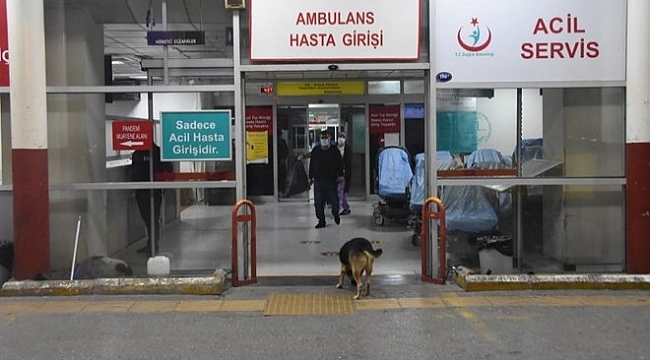 İzmir'de sahte içkiden ölenlerin sayısı  kaça çıktı?