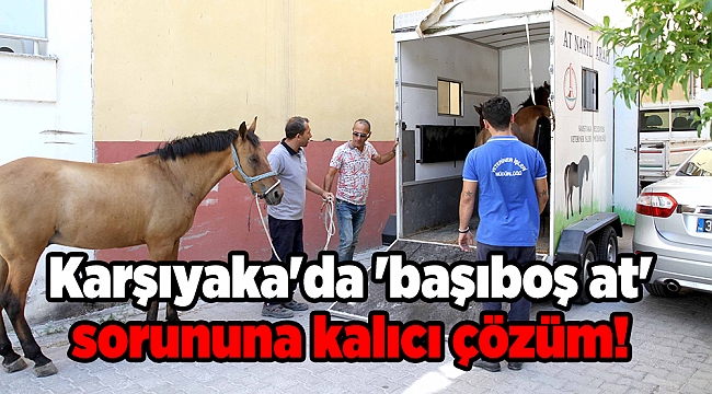 Karşıyaka'da 'başıboş at' sorununa kalıcı çözüm!