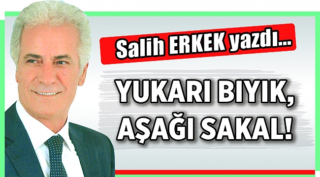 Salih Erkek Yazdı...
