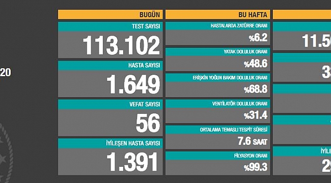 Virüs raporu açıklandı: 'Ağır hasta sayısını kontrol altında mi ?