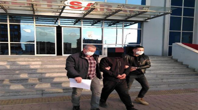 Çaldığı motorlu testereyle bekçilere yakalanan şüpheli tutuklandı