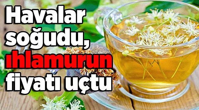Havalar soğudu, ıhlamurun fiyatı uçtu