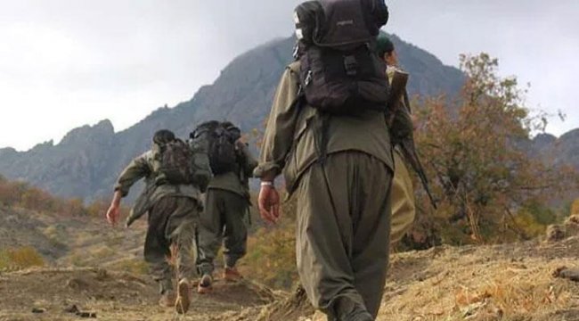 İçişleri Bakanlığı: 1 Ocak'tan bu yana 189 terörist teslim oldu