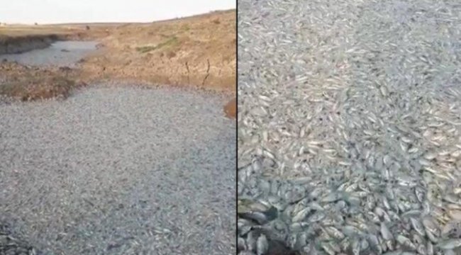 Ilısu Barajı’nda kapaklar açıldı korkutan görüntüler oluştu