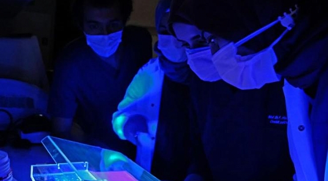 İlk yerli aşı hayvanlarda denenecek