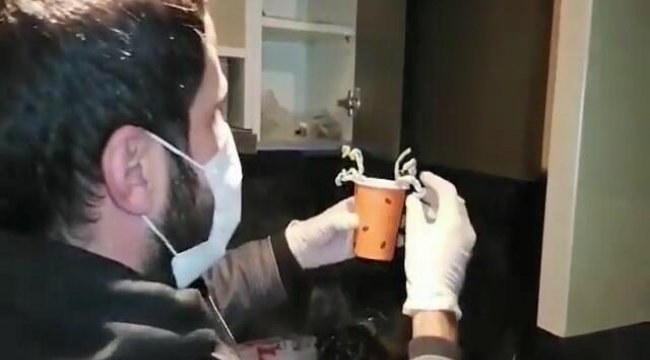 İstanbul'da operasyon, gözaltılar var! Polis hepsini ele geçirdi