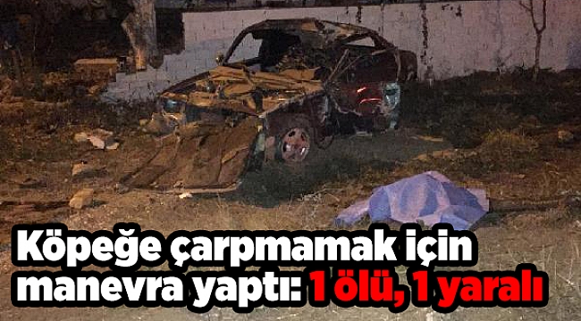 Otomobil sürücüsü köpeğe çarpmamak için manevra yaptı: 1 ölü, 1 yaralı