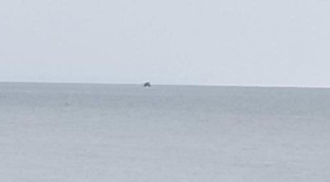 Alarma geçiren iddia! Çalışma başlatıldı