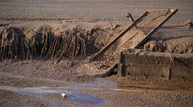 Ayvalık’ta çevre felaketi! Belediye suç duyurusunda bulundu…