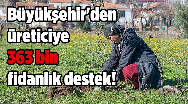 Büyükşehir'den üreticiye 2020 yılında 363 bin fidanlık destek!