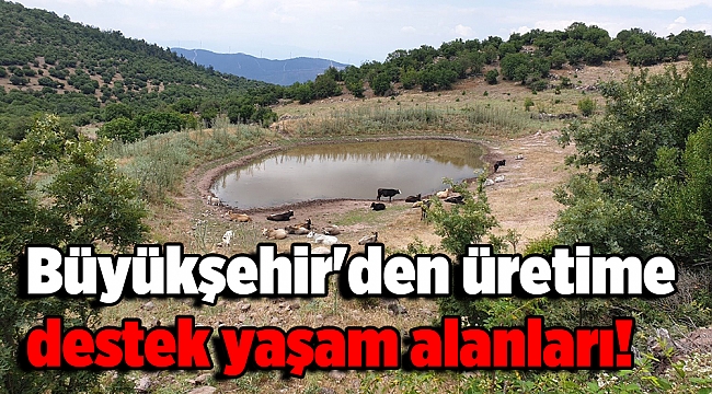 Büyükşehir'den üretime destek yaşam alanları!