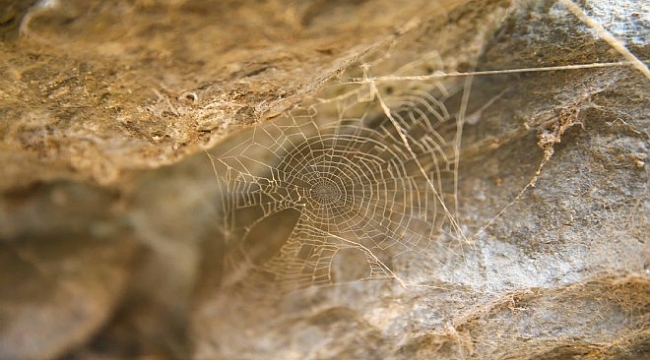 İzmir'de bir antik kent daha gün yüzüne çıkıyor