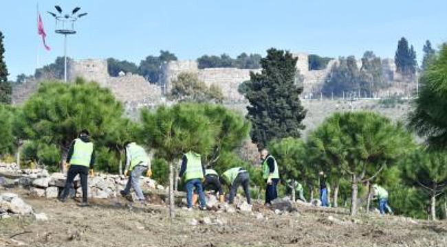 Kadifekale'den kekik ve lavanta kokuları yayılacak