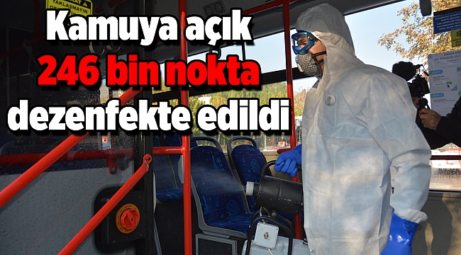 Kamuya açık 246 bin nokta dezenfekte edildi