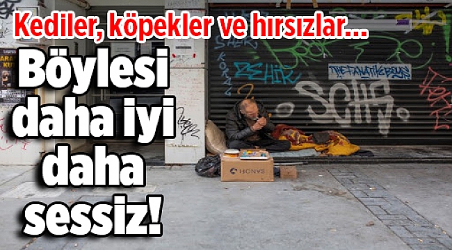 Kediler, köpekler ve hırsızlar... Böylesi daha iyi daha sessiz!