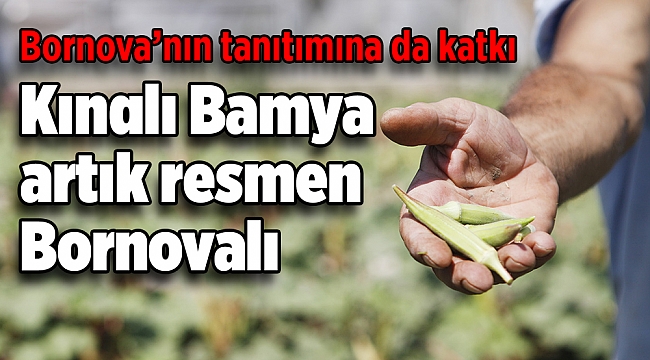 Kınalı Bamya artık resmen Bornovalı