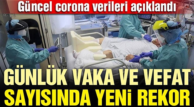 Sağlık Bakanlığı güncel corona verilerini açıkladı! İşte 2 Aralık tablosu