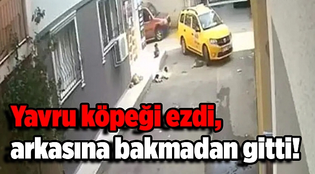 Yavru köpeği ezdi, arkasına bakmadan gitti!