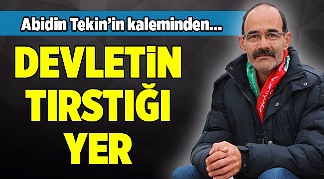 Abidin Tekin'in Kaleminden...