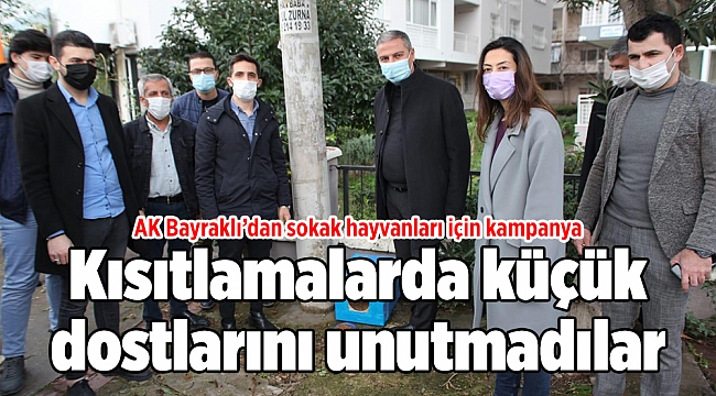 AK Bayraklı’dan sokak hayvanları için kampanya