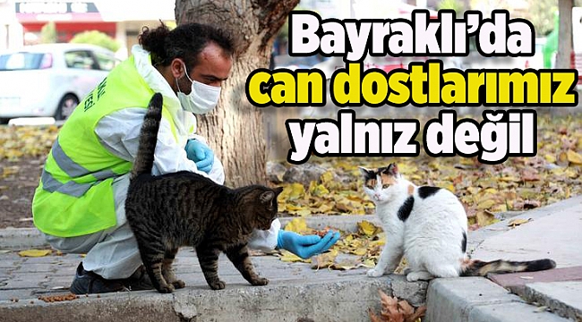 Bayraklı&#039;da sokak hayvanları yalnız değil