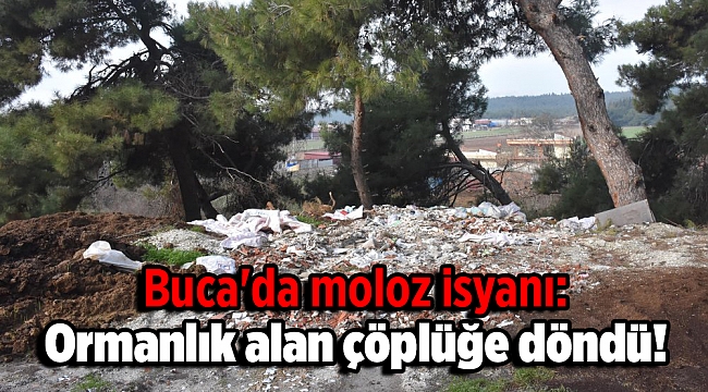 Buca'da moloz isyanı: Ormanlık alan çöplüğe döndü!