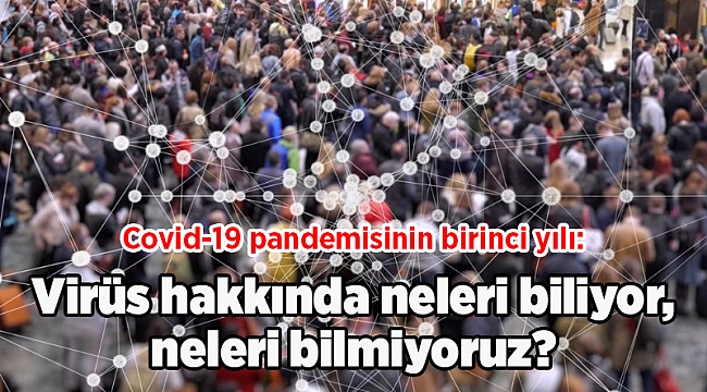 Covid-19 pandemisinin birinci yılı: Virüs hakkında neleri biliyor, neleri bilmiyoruz?