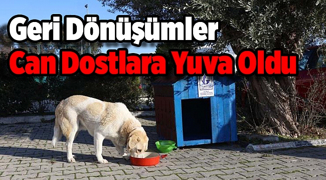 Geri Dönüşümler Can Dostlara Yuva Oldu