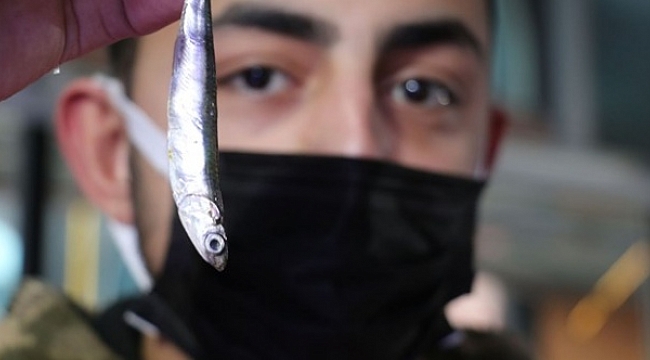 Hamside av yasağı süresi uzatıldı