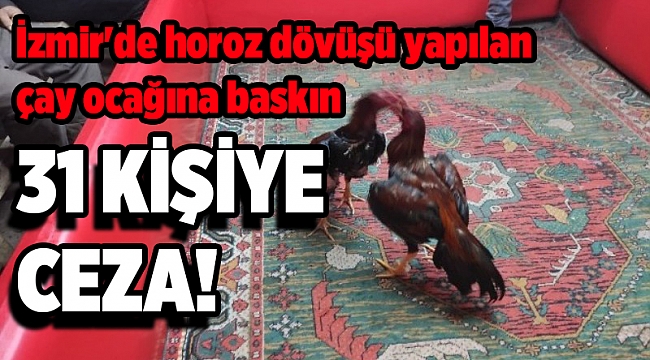 İzmir'de horoz dövüşü yapılan çay ocağına baskın