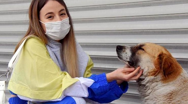 İzmir'de mahalleli sokak hayvanlarını zehirleyenleri arıyor