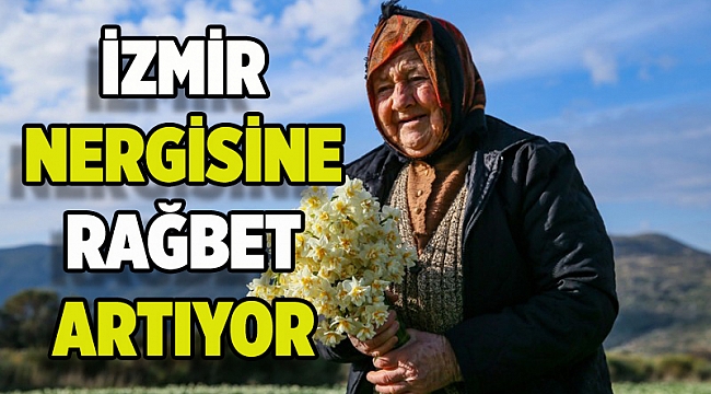 İzmir nergisine rağbet artıyor