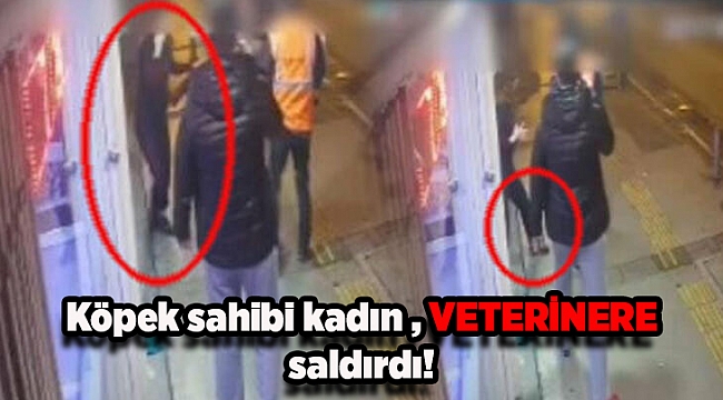 Köpek sahibi kadın, kadın veterinere saldırdı!