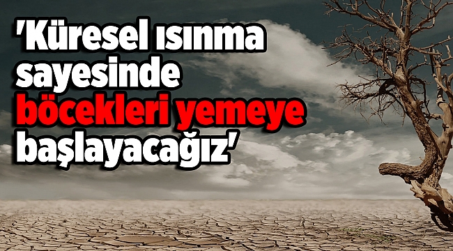 'Küresel ısınma sayesinde böcekleri yemeye başlayacağız'