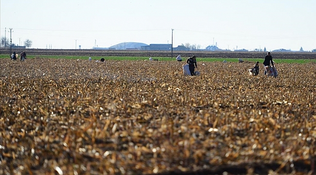 Mardin'in bereketli toprakları imara açılmayacak