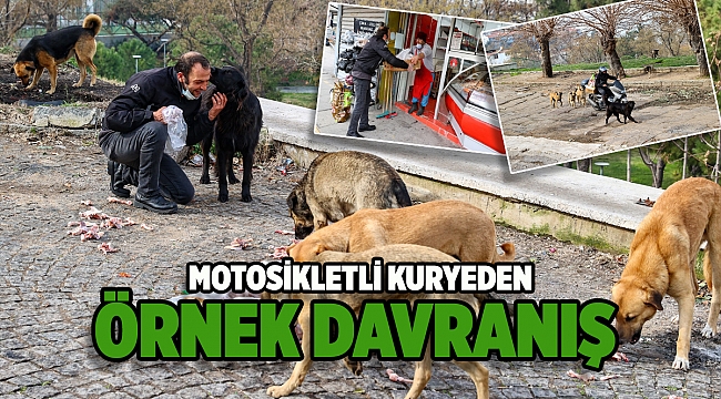 Motosikletli kuryeden örnek davranış