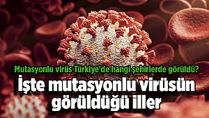 Mutasyonlu virüs Türkiye'de hangi şehirlerde görüldü? İşte Türkiye'de mutasyonlu koronavirüsün görüldüğü iller